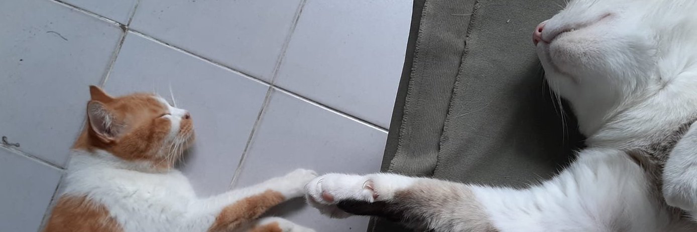 BweBreBee's profile banner image