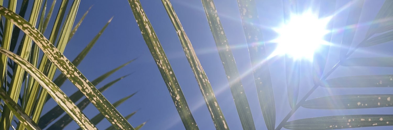 charlenejillian's profile banner image