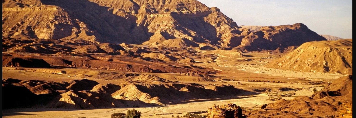 Ali_Jaswal's profile banner image