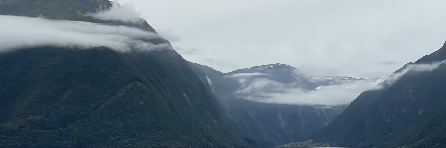 yslailo's profile banner image
