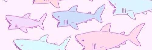 __XOIF's profile banner image