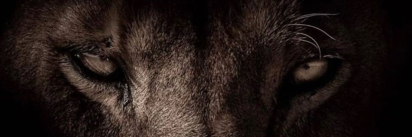 General_Leftyy's profile banner image