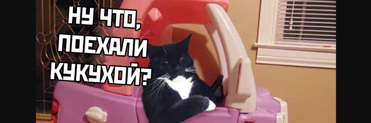_Dead_Dream_'s profile banner image