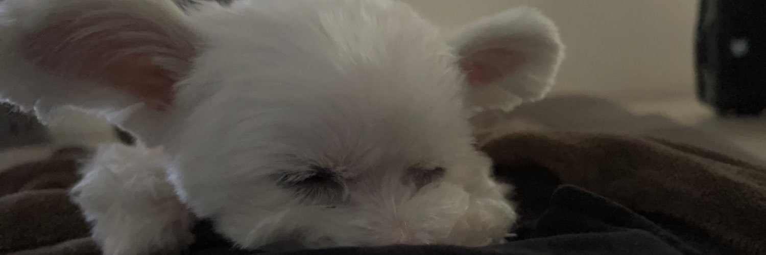 rchls2chu's profile banner image