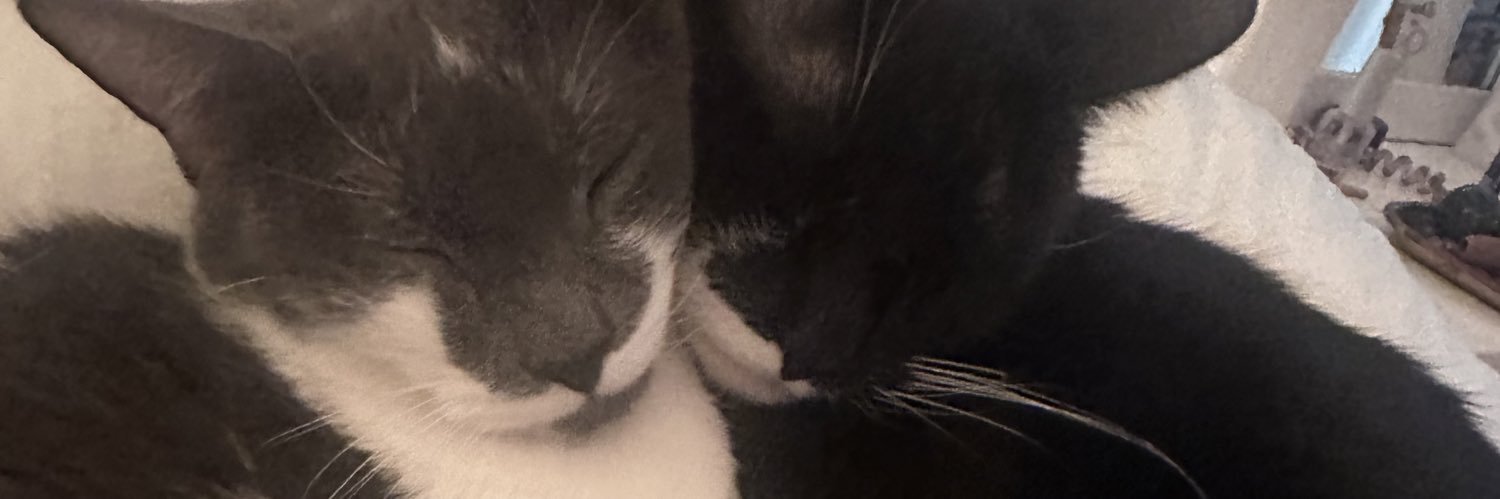 sandruhh19's profile banner image