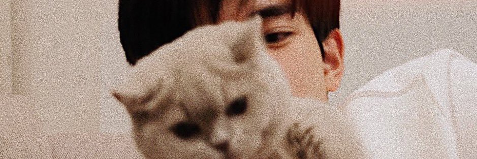 PHIMPHAPHON_AI's profile banner image