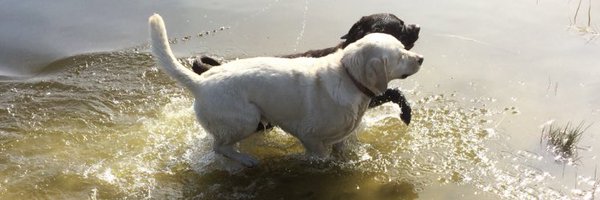 BeugerJoke Profile Banner