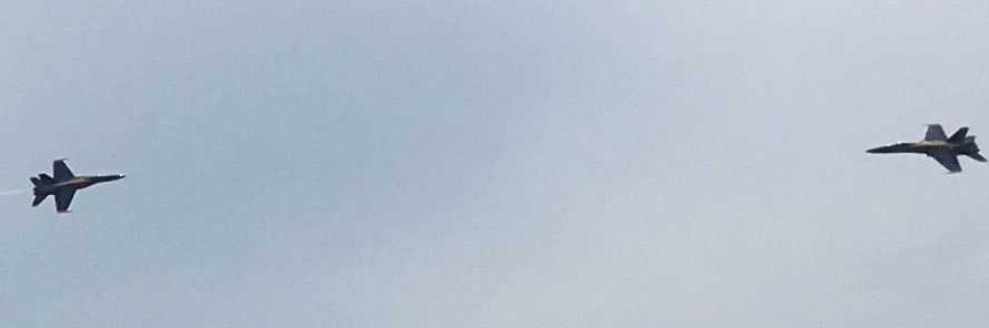 pauli beach banner