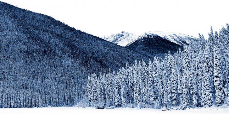 GarrettROcch's profile banner image