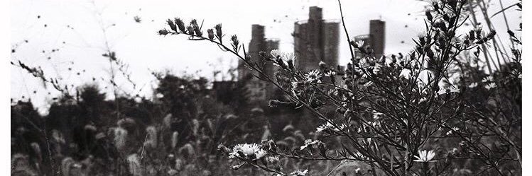 _USACYAN_'s profile banner image