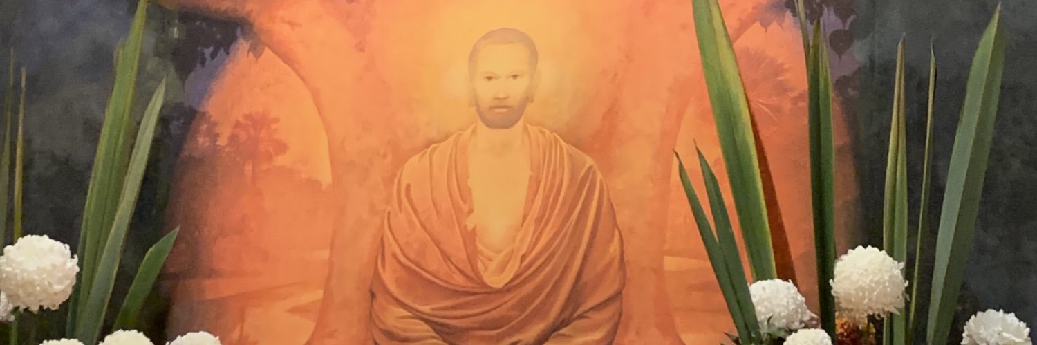 adanarys's profile banner image