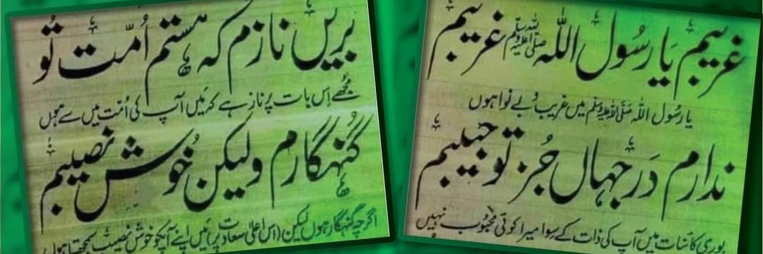 Senator Mushtaq Ahmad Khan | سینیٹر مشتاق احمد خان's banner