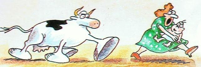 BasedOffPossums's profile banner image