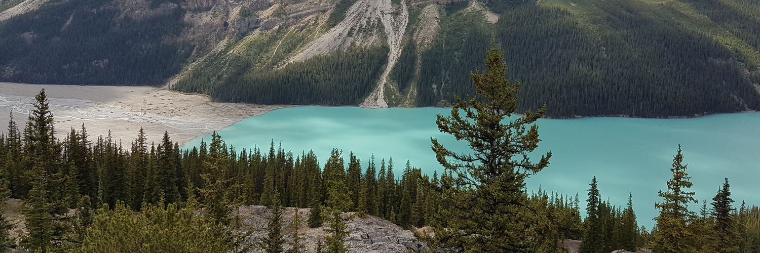 Mamasaurus 🇨🇦🇬🇧 banner