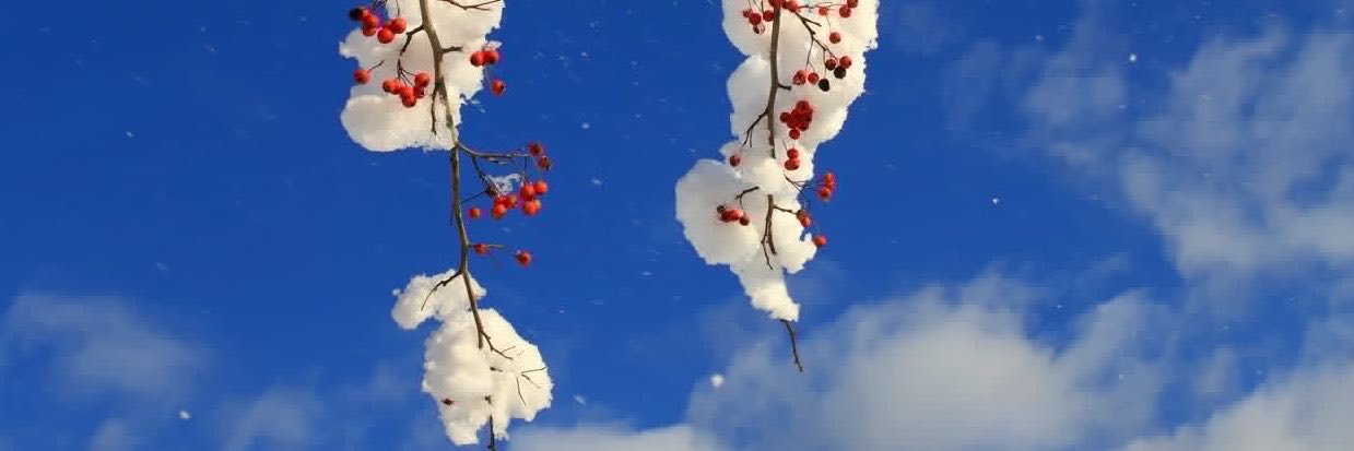 ItsAfagIsmayil's profile banner image