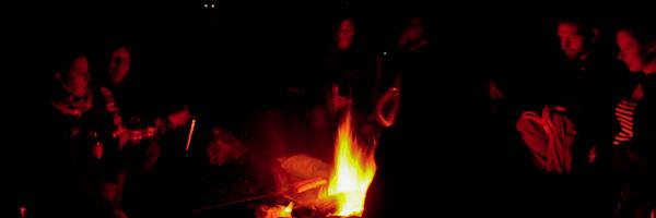 BeachFireBrew Profile Banner