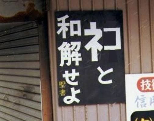 【冬眠】うにらんど🐬 banner