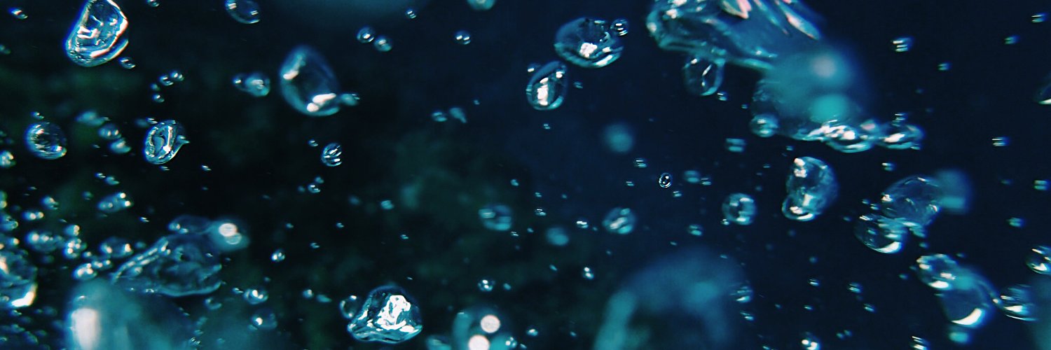 husuinia's profile banner image
