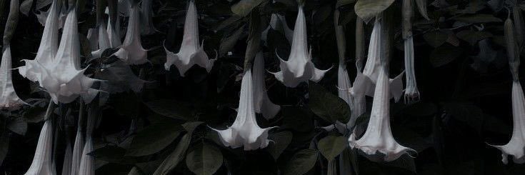 faithmo0220's profile banner image