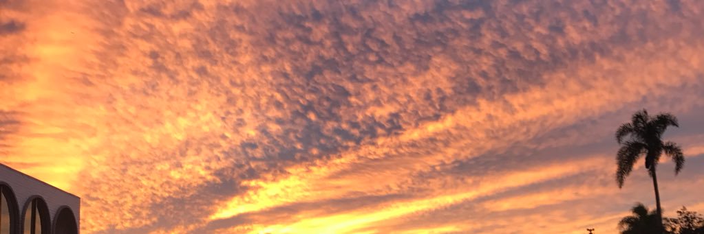 RJParker_'s profile banner image