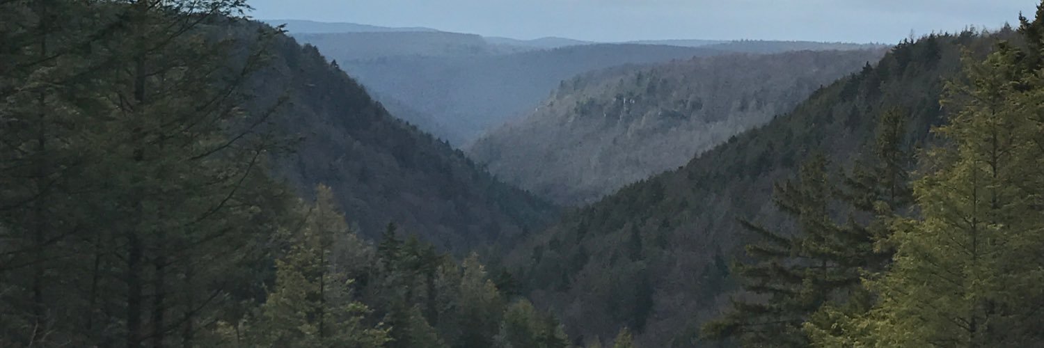 JessLane84's profile banner image