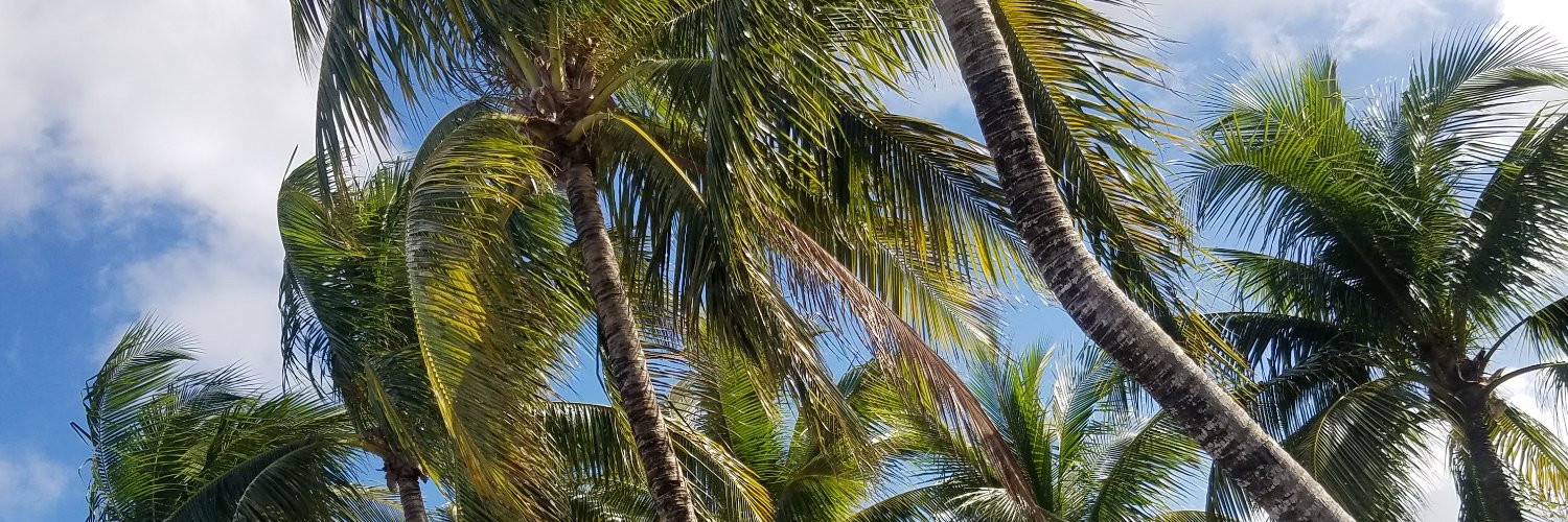 ParadiseLive's profile banner image