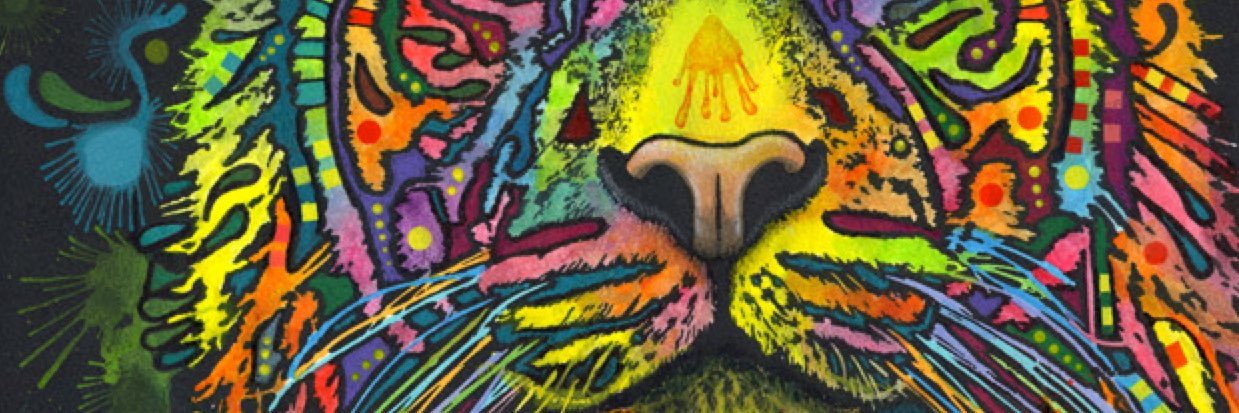 aooff_tiger's profile banner image
