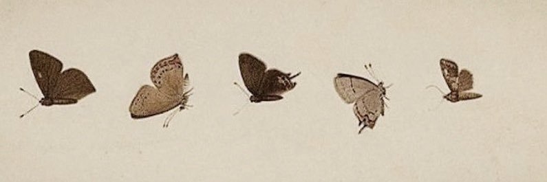 Poetic_PotionG's profile banner image