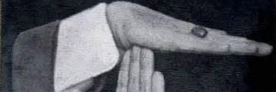 حادي العيس banner