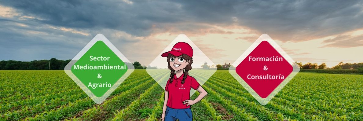 inalocal's profile banner image