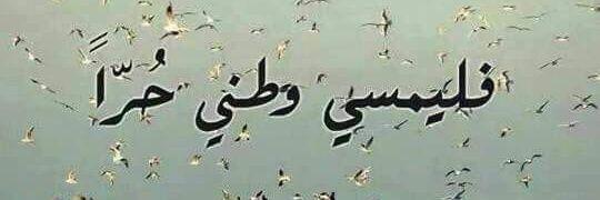 mJM53495574's profile banner image