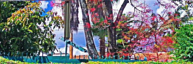Augustine_Mb's profile banner image