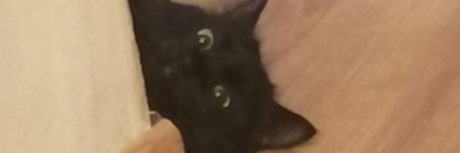 roawey's profile banner image