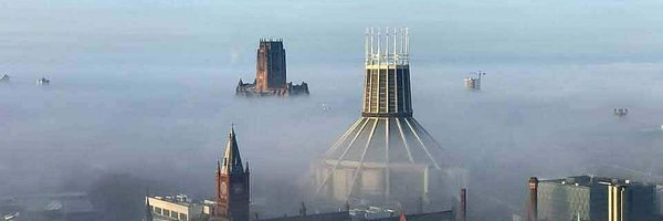 FoodFanaticJax Profile Banner