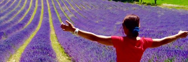 Noelia Gonzalez banner