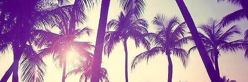 NoHopeJustDope's profile banner image