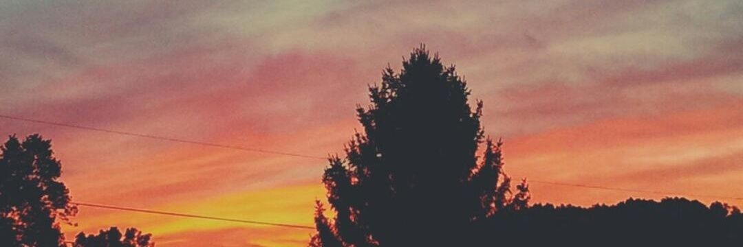 Abbster17's profile banner image
