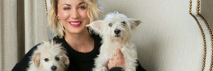 kaleycuoco00100's profile banner image
