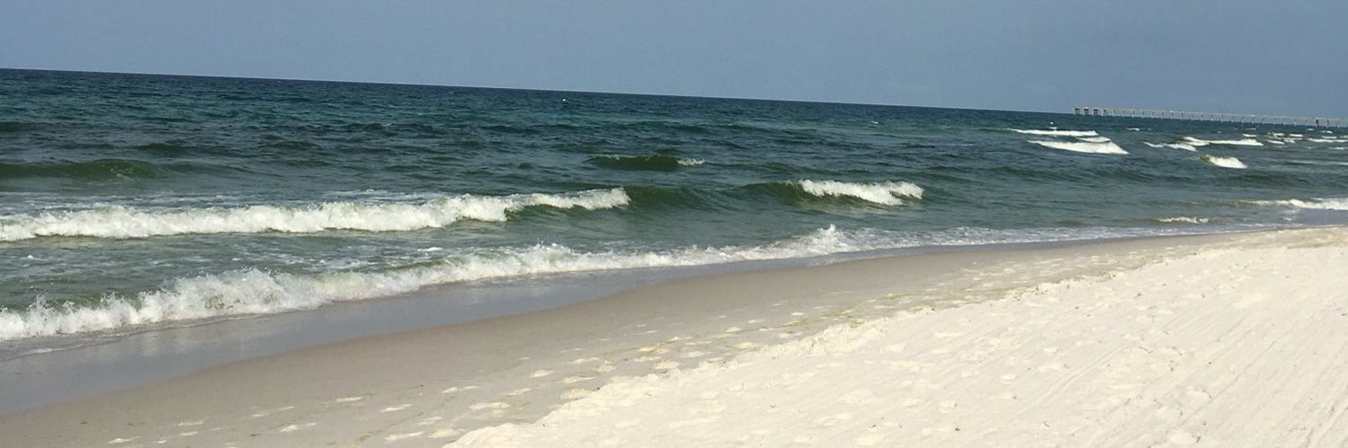 Bonni Falcone banner