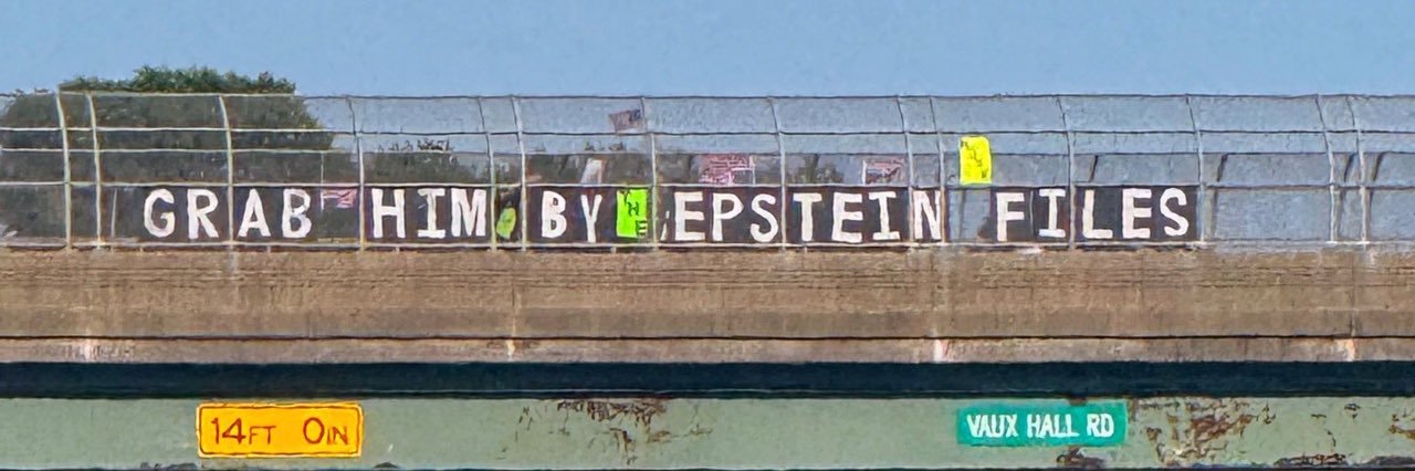 sassy-redhead-says-what? 🐞🦉🦋 🥥 🌴🌈 🦅 🇺🇸's banner