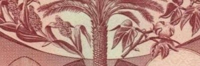 aass705's profile banner image