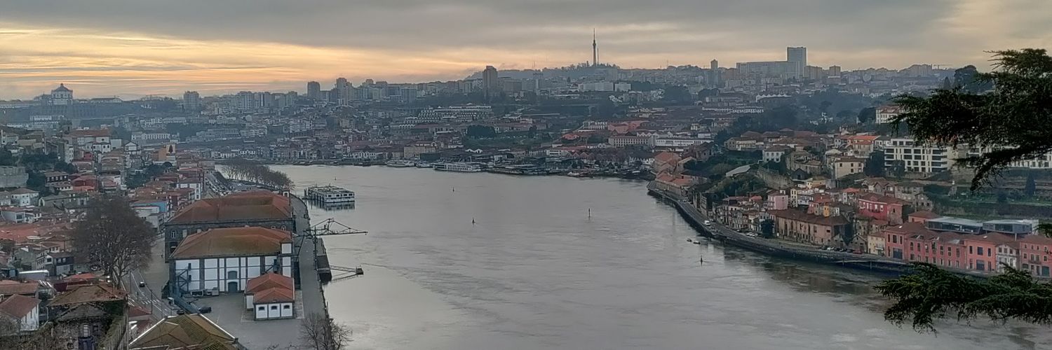 luisooares's profile banner image