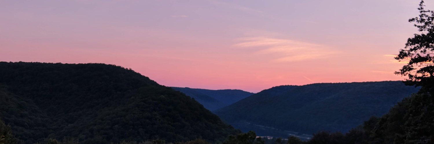 Annee_Johnson's profile banner image