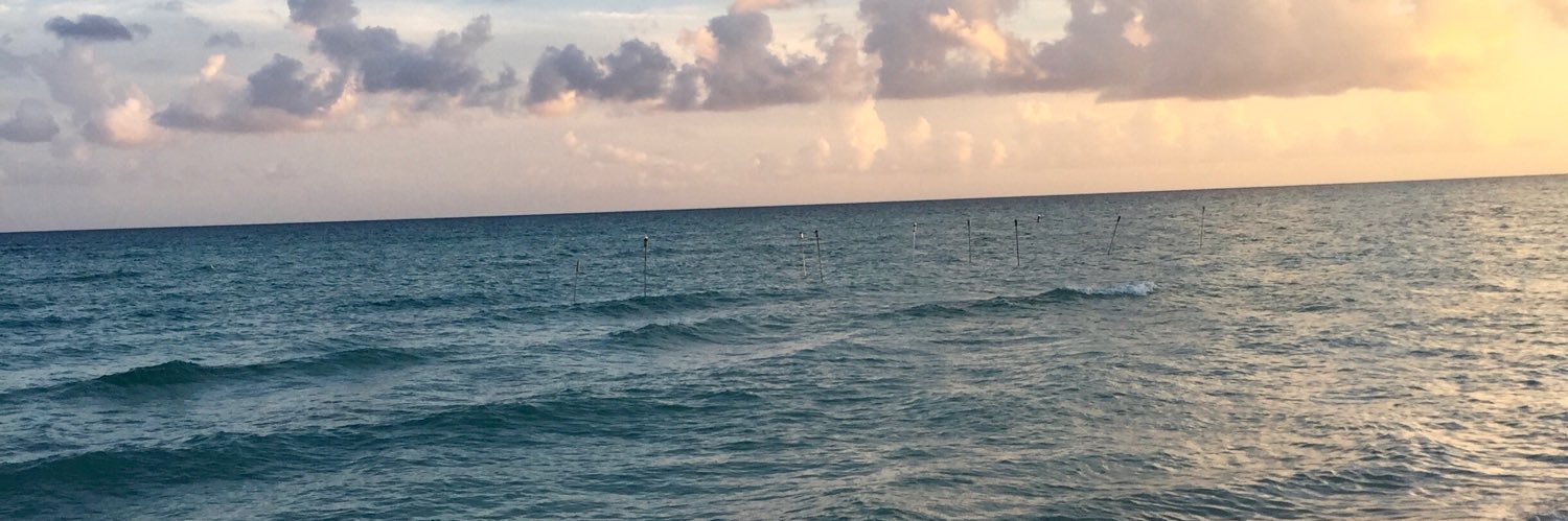 NikkiFritz11's profile banner image