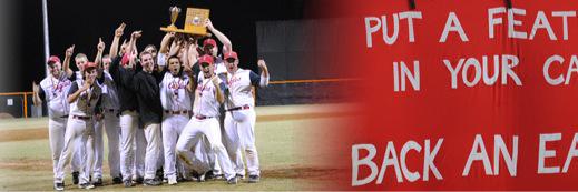Eagles Baseball banner