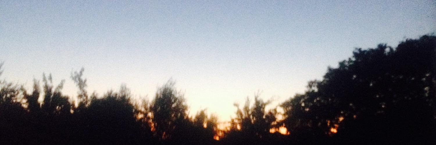 Matthew Medovnikov banner