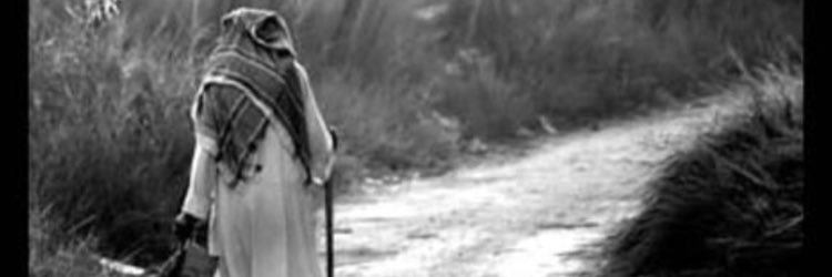 oday_16's profile banner image