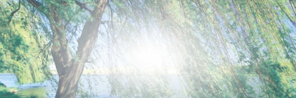 TwillowHR's profile banner image