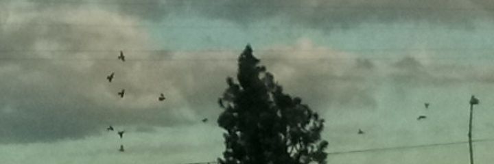 rxebne's profile banner image
