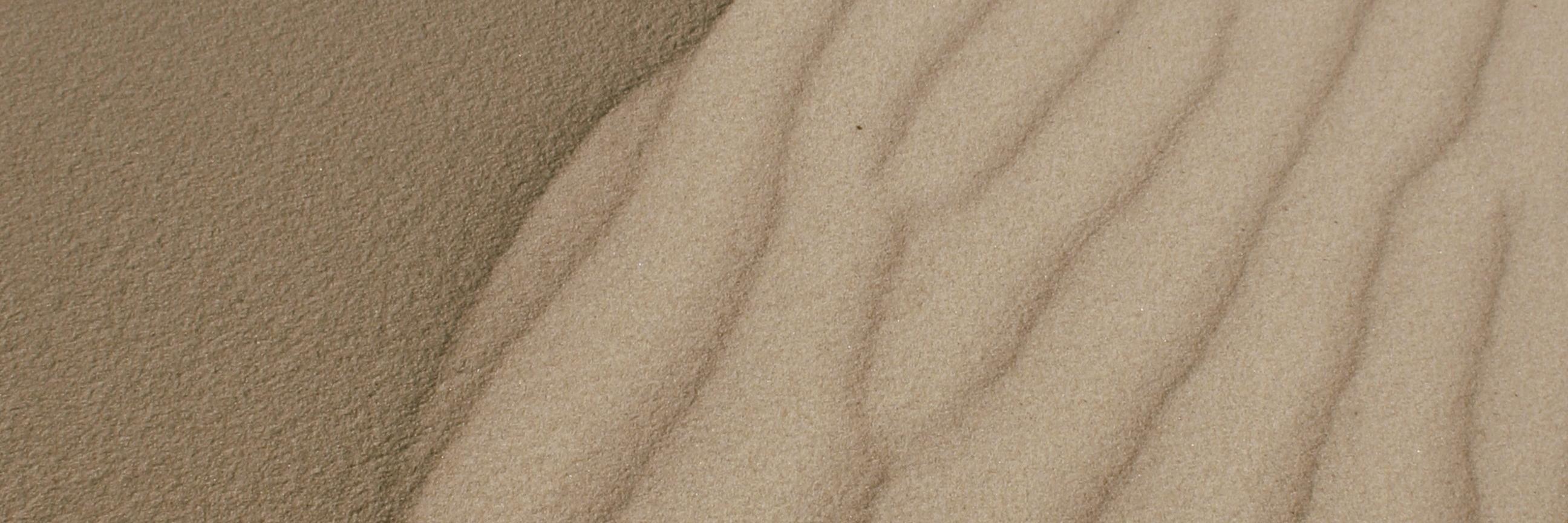 Hans Viehmann banner